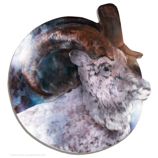 Creative edge metal print of Dall sheep from Through Your Spotting Scope steel engraving