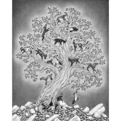 A flock of goats climbs in the branches off a great tree in this giclee print from a graphite drawing.
