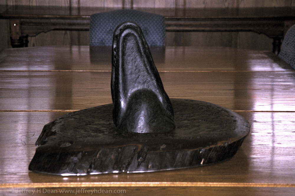 Black Alberene soapstone carving of an alligator in the swamp for University of Florida.