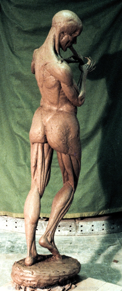 Life-size clay figure built up from the bones and muscles. Naguib School of Sculpture.