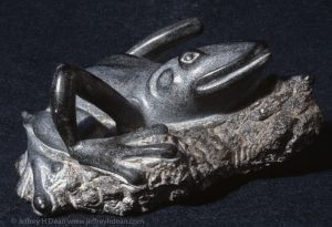 Basking Stone Frog