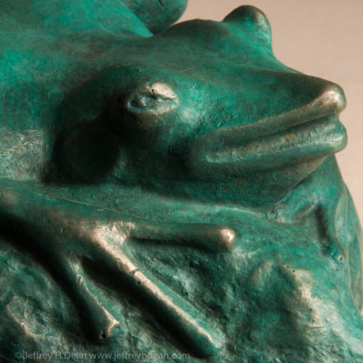 Bronze frog smiling from the muddy bank.