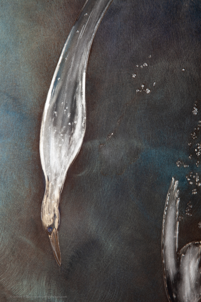Metal wall art in engraved and heat tinted steel depicting an underwater scene of diving gannet birds.