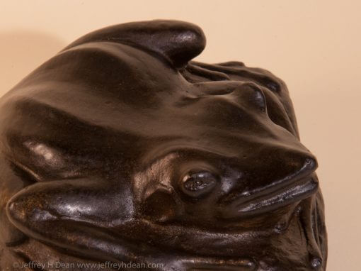 Bronze frog smiling from the muddy bank.