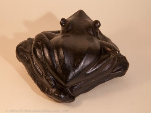Bronze frog smiling from the muddy bank.