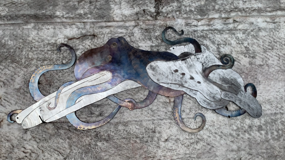 A process shot of heat coloring a cut-out metal art giant Pacific octopus wrestling a whale skull.