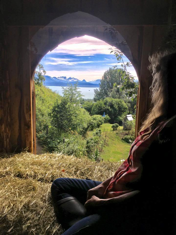 View from the donkey barn at Dean Family Farm and Art Studios overlooking Kachemak Bay.